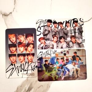 Stray Kids Group PC